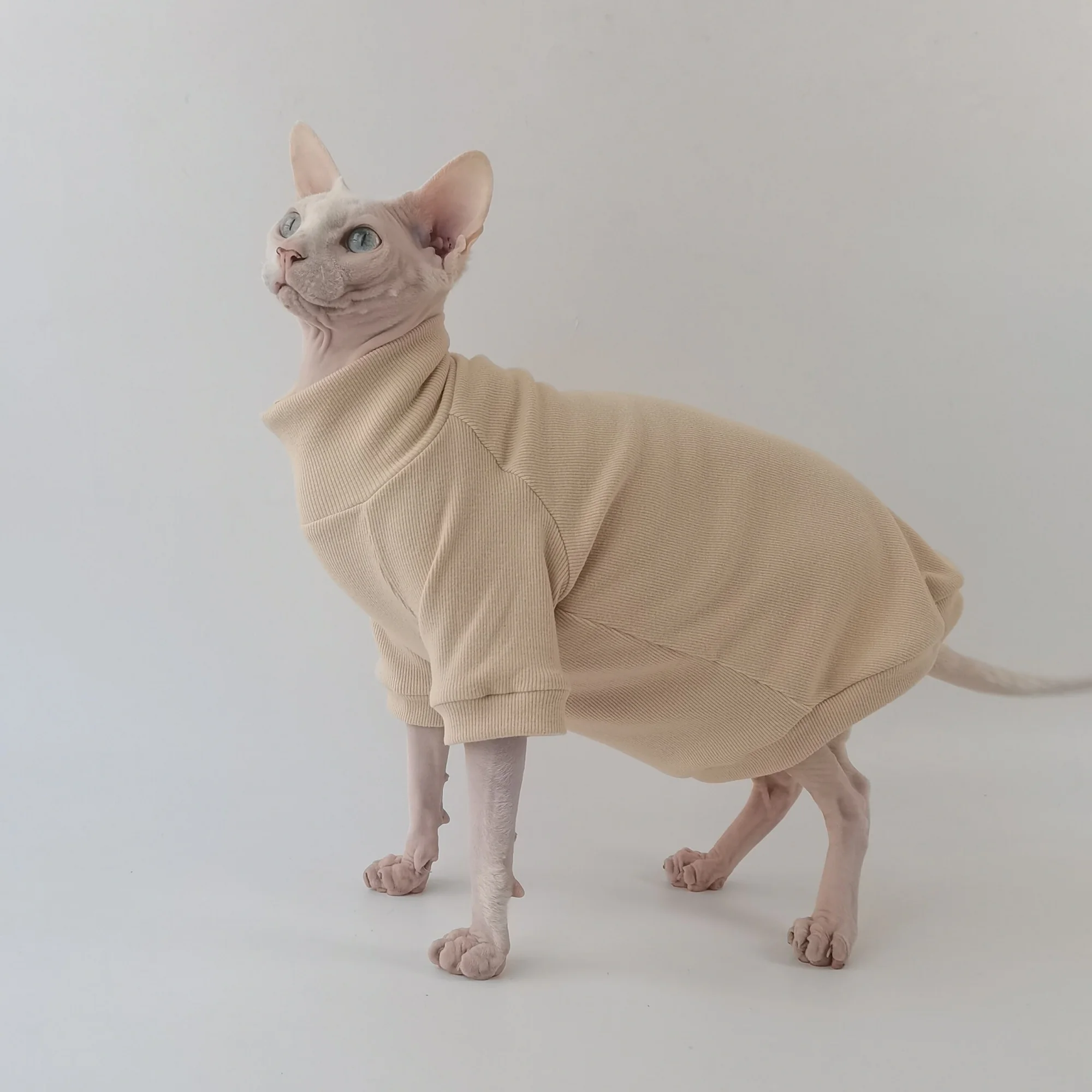 Camiseta de algodón caqui para gatos Sphynx y Devon Rex - manga larga - imagen 3