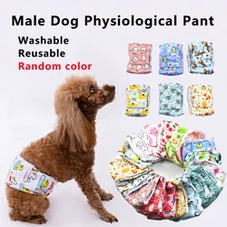 Faja ajustable lavable para perro macho - Pañal reutilizable