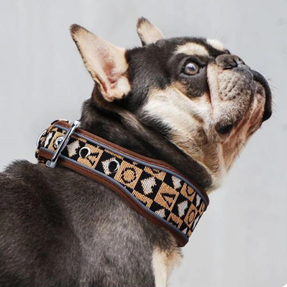 Collar moda reflectante para perros grandes: bulldog francés y pug - imagen 4