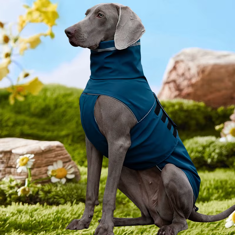 Chubasquero impermeable para perros grandes - chaqueta de lluvia