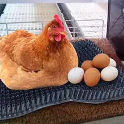 Esteras de plástico para ropa de cama de pollo, almohadillas anidadas lavables para anidar gallinas, tapetes para poner huevos cortables y reutilizables para esteras de aves de corral