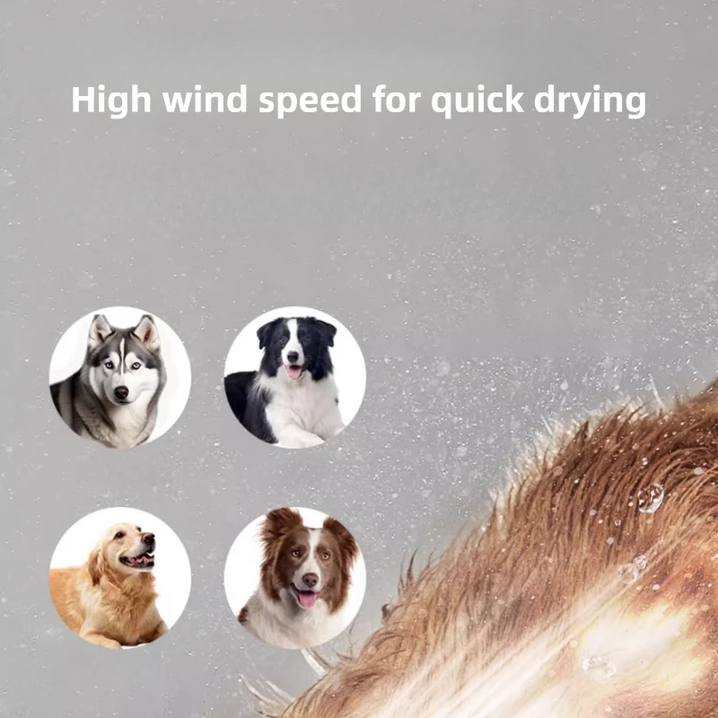 Secador de pelo para mascotas de alta potencia, secador de pelo para perros grandes, doble Motor, secador de pelo para cachorros, gatos, perros, accesorios de aseo, suministros para mascotas - imagen 2