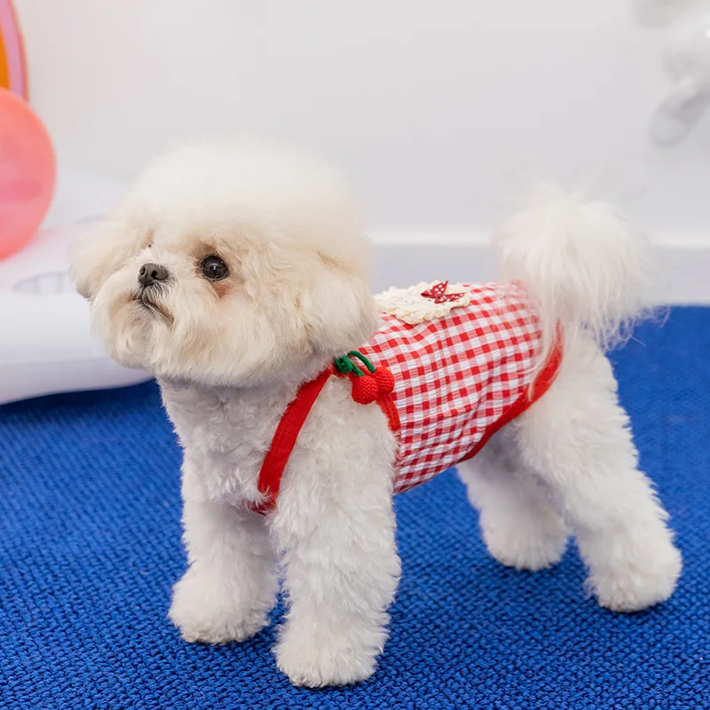 Camiseta verano con cereza para Perras – Chihuahuas y Bichones - imagen 3