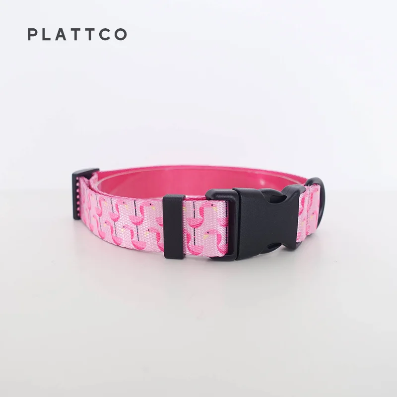 Dog Collar