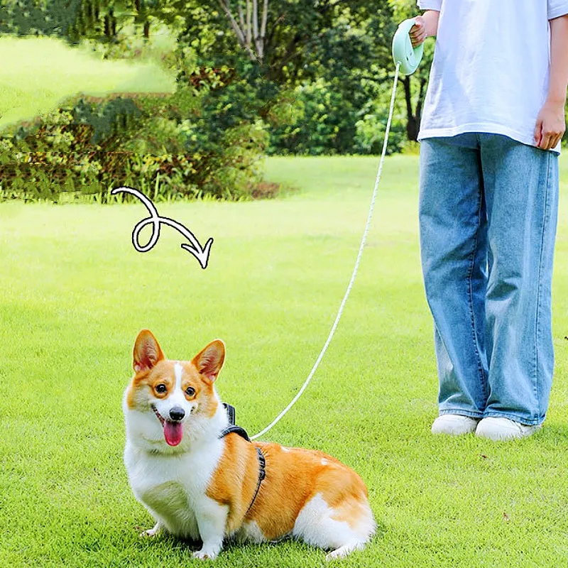 Correa para perros reflectante ajustable con dispensador de bolsas - imagen 3