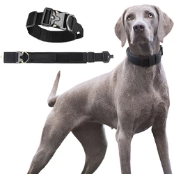 Collar entrenamiento perros grandes y correa resistente al aire libre
