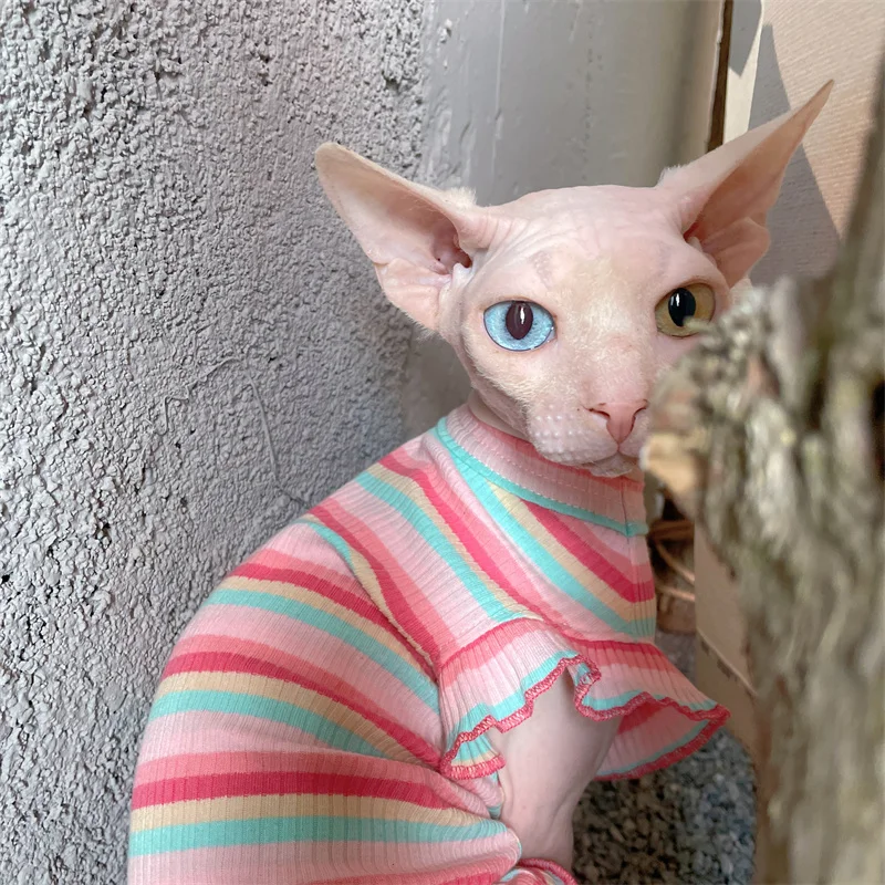 Ropa de gatos Algodón suave Chaleco de color arco iris para Sphnx Gato Mangas cortas con volantes Mono para gatitos Vestido de verano para gatos perros - imagen 4