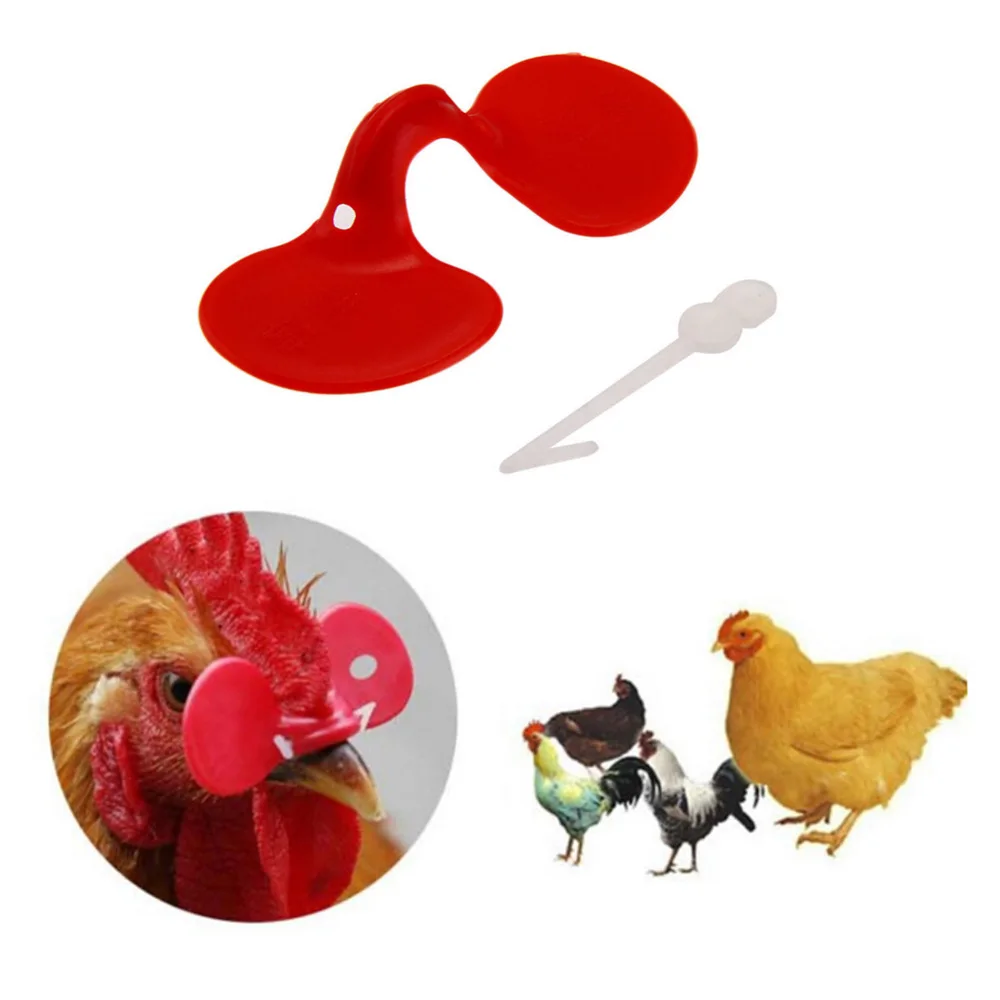 Gafas de ojo de gallo pequeñas con cerradura para prevención de picoteo y lucha, accesorios para equipos de cría de aves de corral - imagen 2