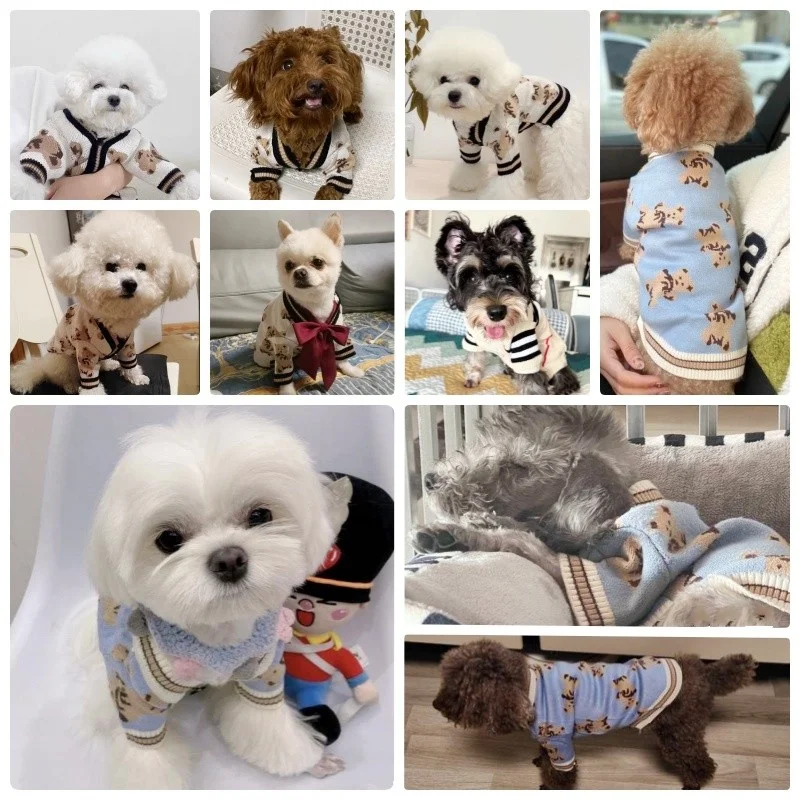 Suéter para perros pequeños y medianos, ropa con estampado de oso para perros, cárdigan a rayas para cachorros, suéter cálido para invierno para gatos, abrigo para perros - imagen 2