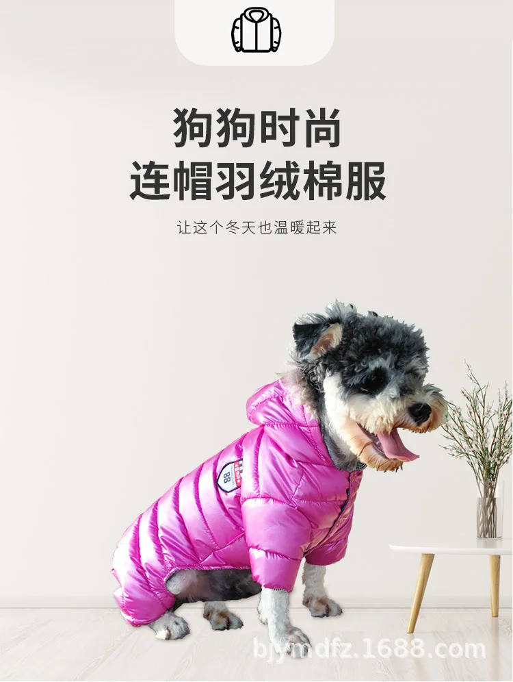 Pet clothing _01.jpg display picture