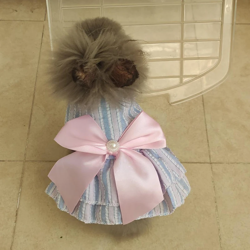 Falda de conejo dulce, vestido de verano para mascotas para animales pequeños, ropa a cuadros a rayas para cachorros, perros, gatos, mascotas, ropa estidos perrita - imagen 4