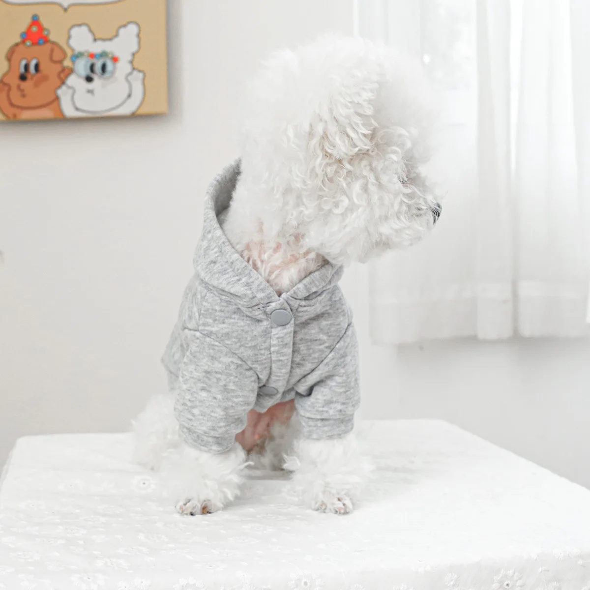 Sudadera con capucha con lazo para mascotas, ropa para gatos, suéter con bolsillo para mascotas, chaqueta con lazo lindo, ropa para perros pequeños - imagen 4