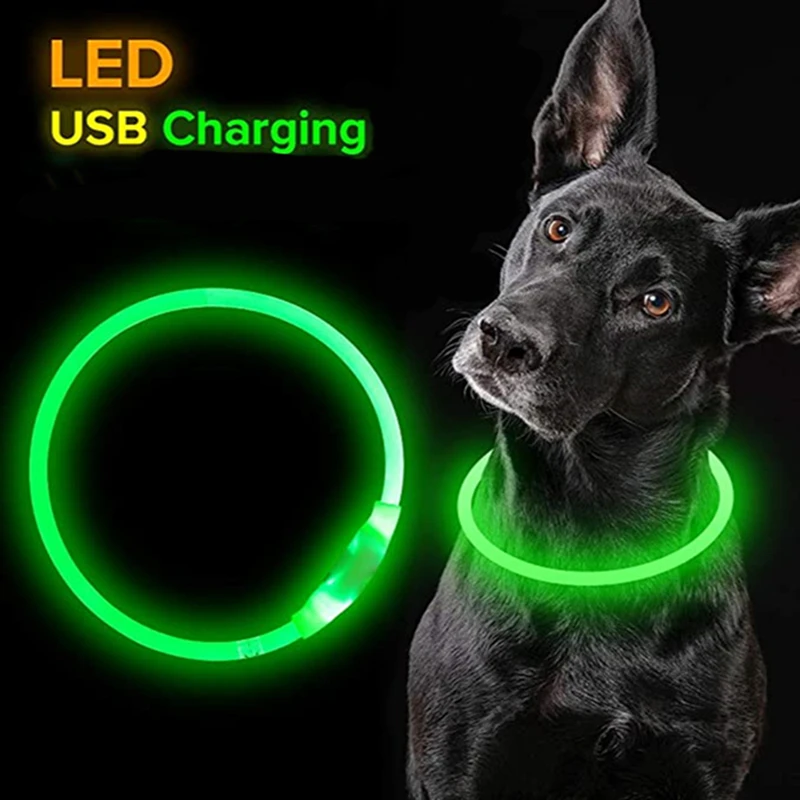 Collar Led Usb para perro, Collar de carga luminosa nocturna para perro, Collar de prevención de pérdida de perro con brillo intermitente de seguridad nocturna, accesorios para mascotas - imagen 2