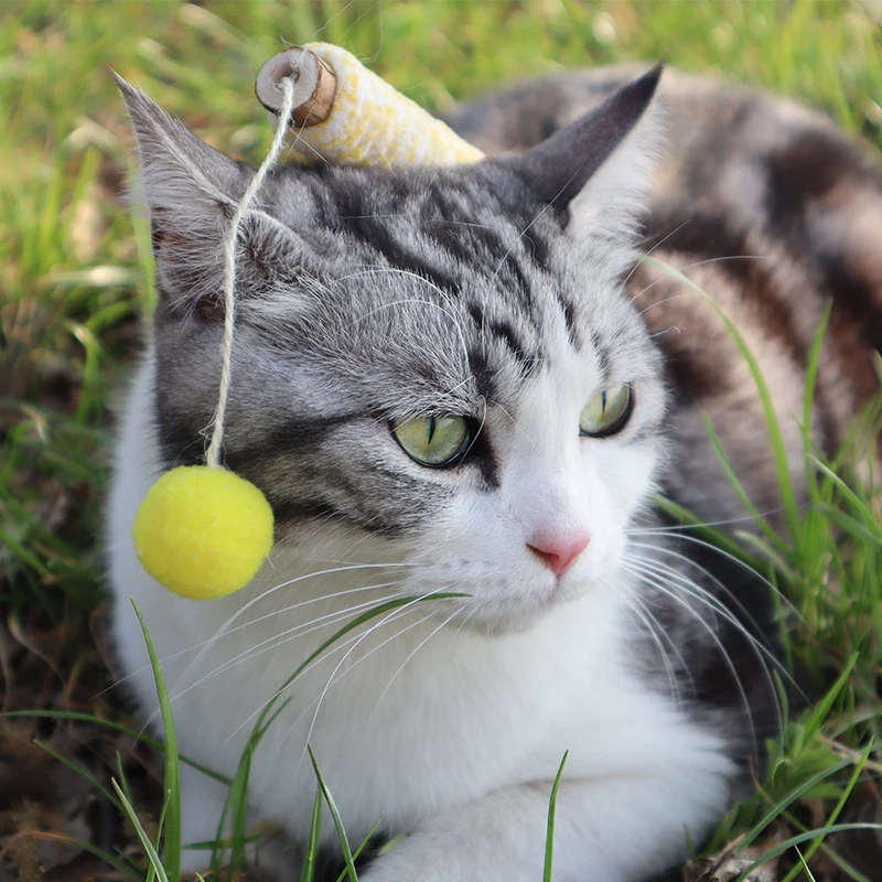 Juguete de gato de plumas naturales con Tianmuliang, Material seguro y divertido para un tiempo de juego agradable para su amigo felino, accesorios para gatos - imagen 4