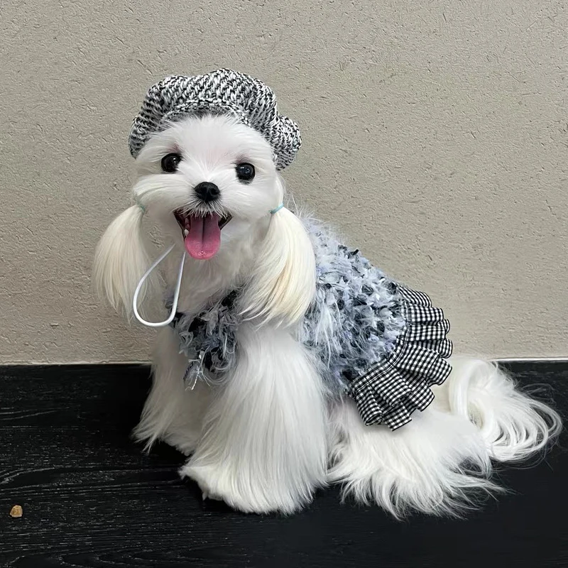 Sombrero Kawaii para perro y gato, bonito sombrero con pintura al óleo, tocado para gato, boina de lana de lujo para perros pequeños, Yorkshire, Teddy Schnauzer, Bichon Frise