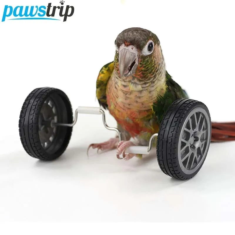 Juguete de equilibrio para loros – Interactivo y educativo