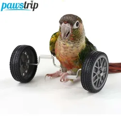 Juguete de equilibrio para loros – Interactivo y educativo