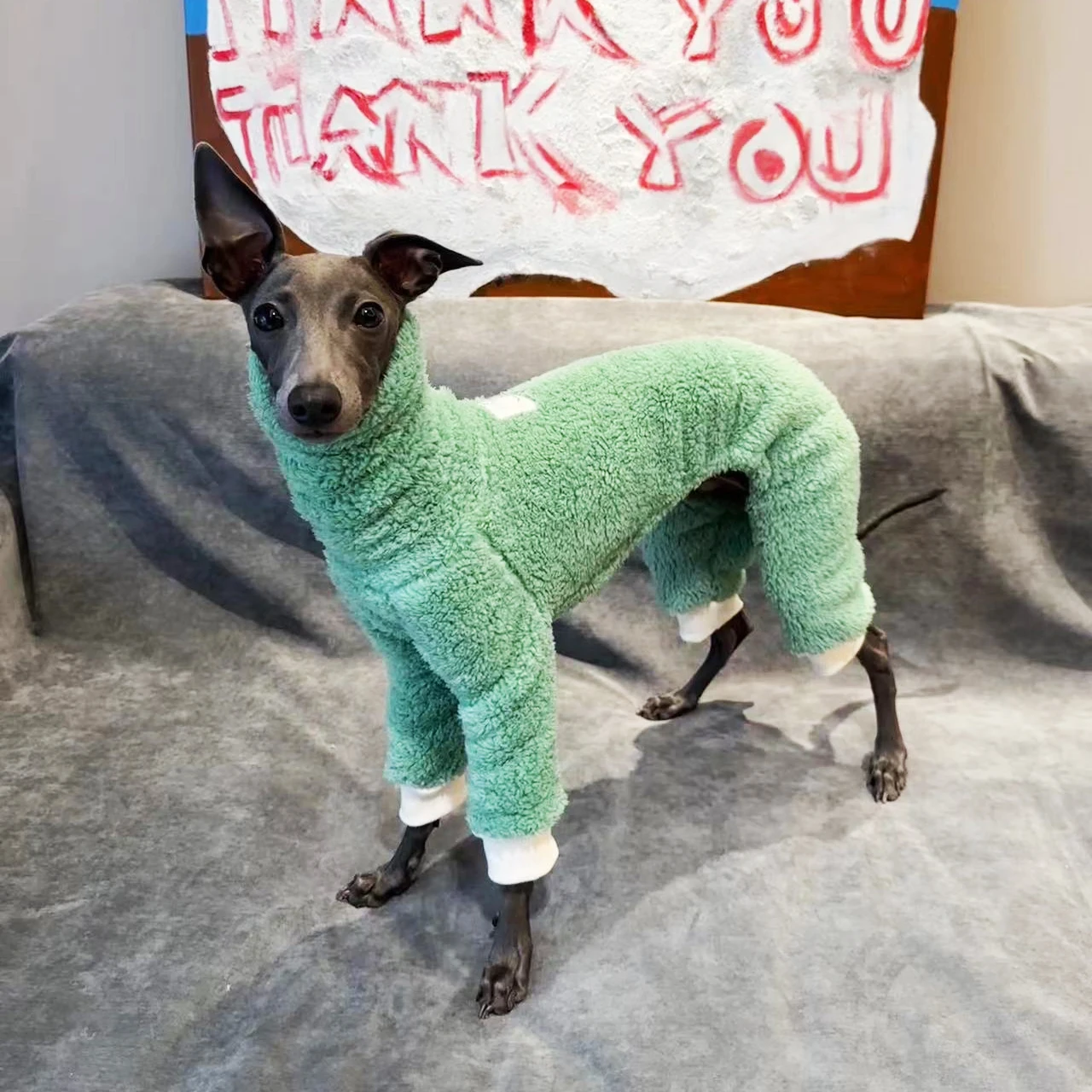 Ropa de lana de doble cara para perro, abrigo cálido de Galgo para mascotas, ropa verde para cachorros, Invierno - imagen 2