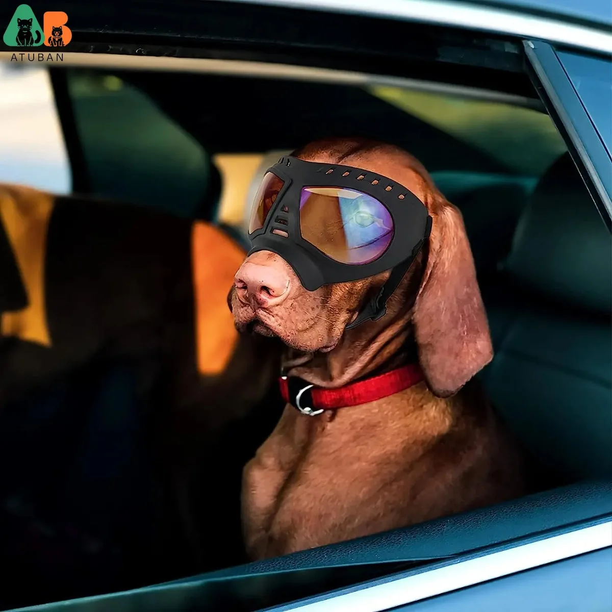 ATUBAN casco y gafas de sol para perros, protección UV, sombrero deportivo para perros grandes, a prueba de viento, a prueba de nieve para montar mascotas - imagen 2