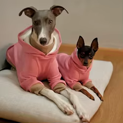 Sudadera con capucha para perro – Vellón suave rosa, primavera y otoño