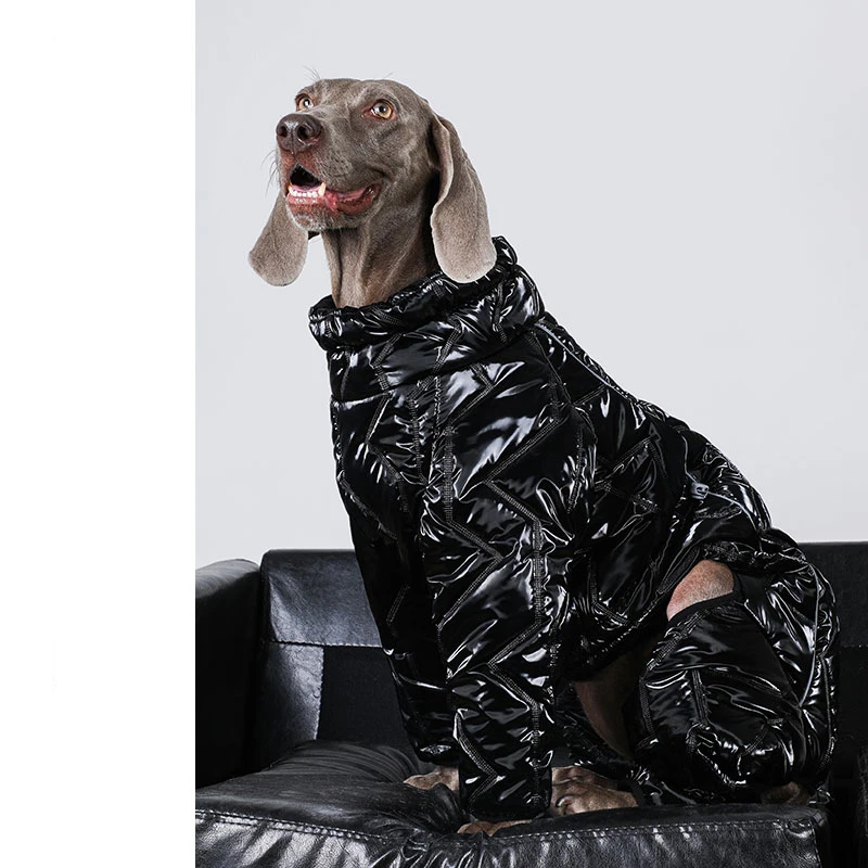 Ropa grande para perros de tela de alta calidad, chaqueta impermeable con cuello alto para perros de 4 patas, ropa Labrador Golden Retriever Dobermann - imagen 2