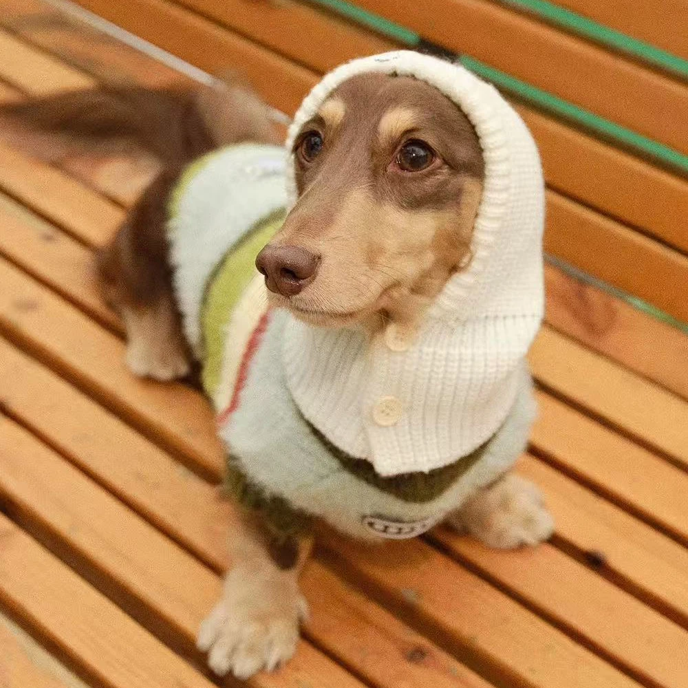 Jersey de punto para Dachshund – Verde manzana con rayas, abrigo suave - imagen 3