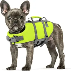 Chaleco salvavidas para perros – Alta flotabilidad con tiras reflectantes