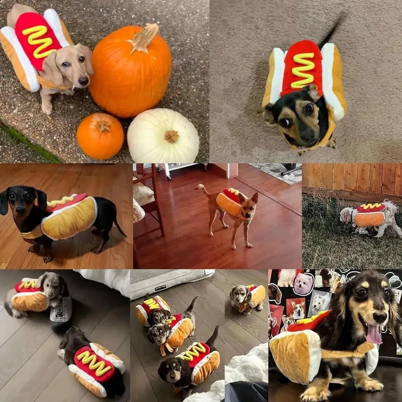 Divertidos disfraces de Halloween para perros, ropa ajustable con forma de perro caliente, salchicha, salchicha, ropa para mascotas, traje de fiesta para gatos - imagen 3