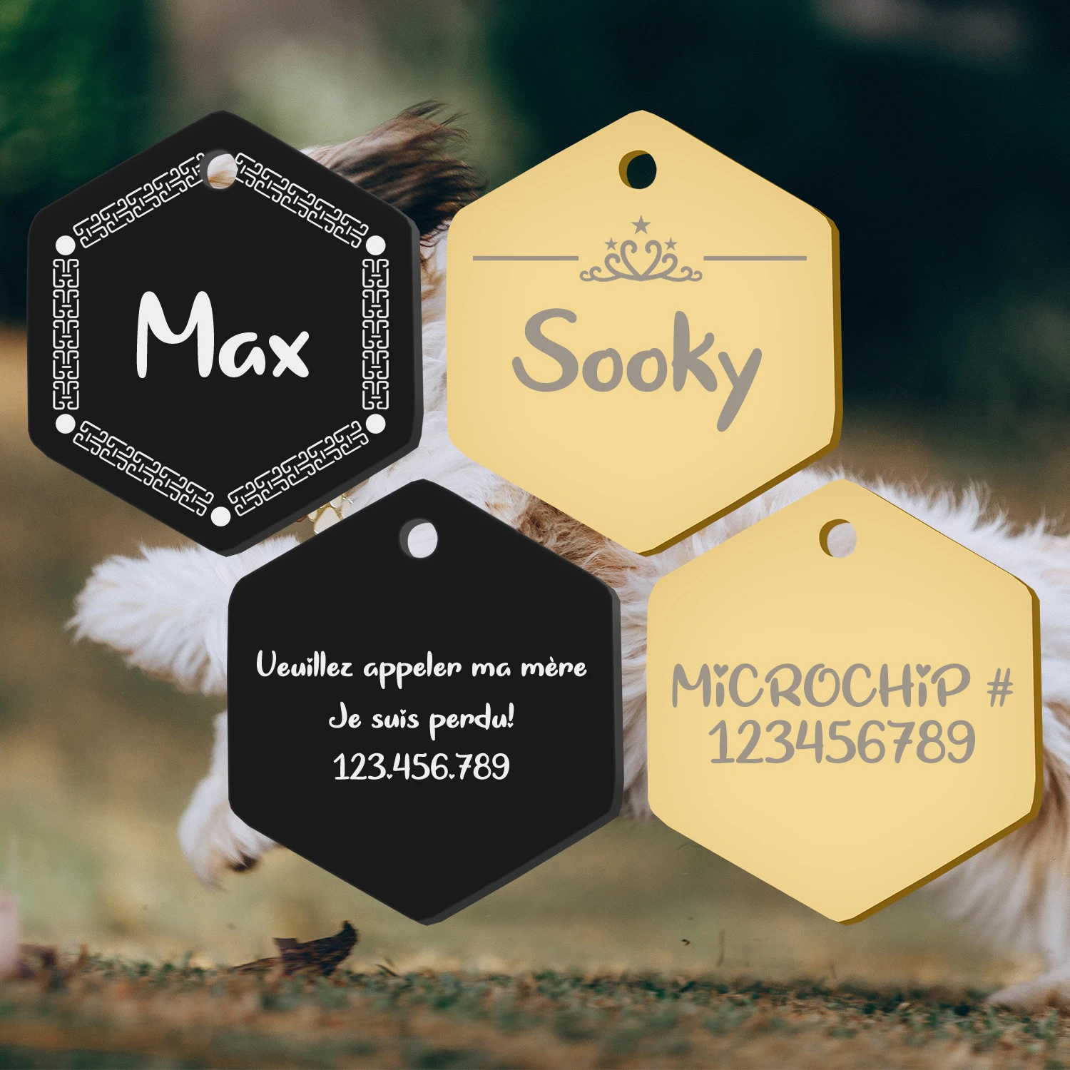 Placa identificación colgante para perros y gatos - imagen 4