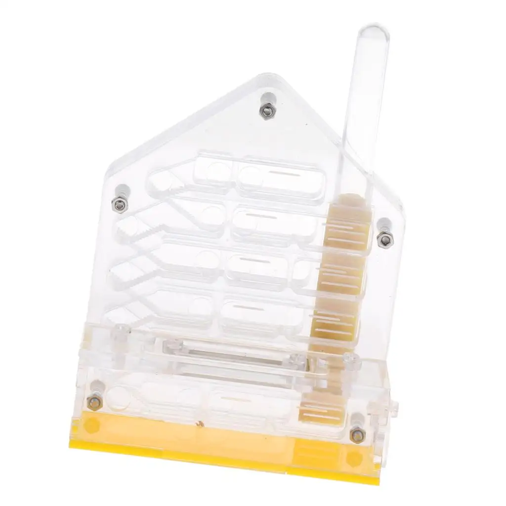 Clear Insect Ant Housing Acrylic Nest Ants Feed Farm Formicarium Box Clear Insect Ant Housing Acrylic Nest Ants Feed Farm Formicarium Box