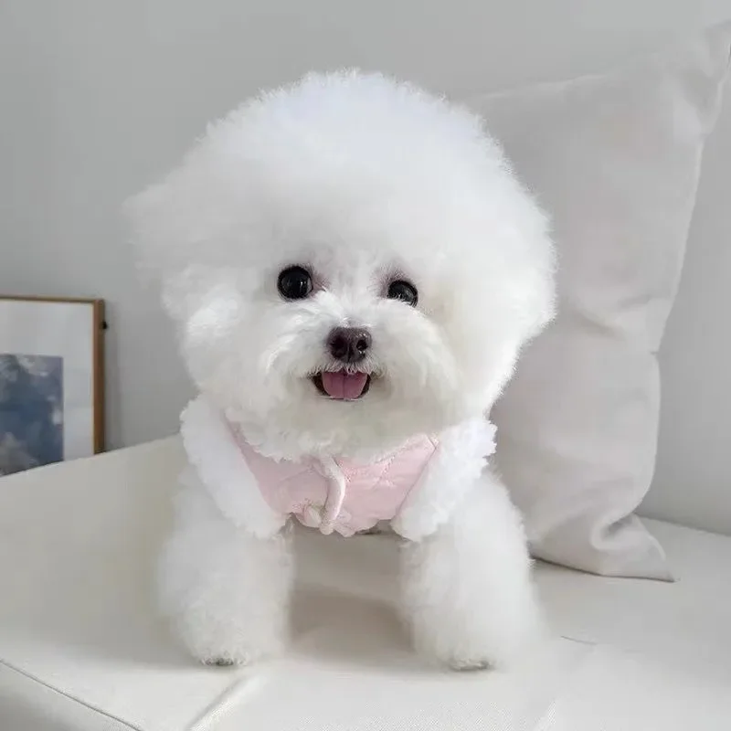 Falda de calabaza de burbuja de diamante para mascotas, chaleco de hebilla de tracción con Clip de felpa y algodón, oso de peluche, perro y gato, grueso, Otoño e Invierno - imagen 2