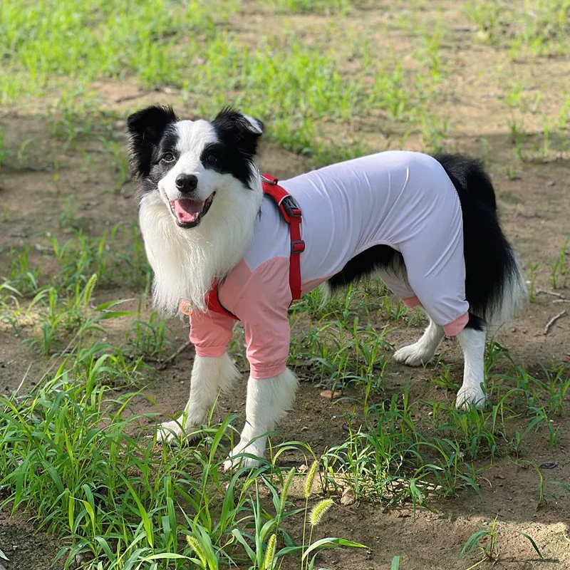 Ropa fresca de verano a prueba de sol para perros grandes, mono para perros de 4 patas resistente a insectos para Schnauzer Corgi Husky Labrador Golden Retriever