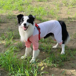 Ropa fresca para perros verano – protección solar y anti insectos