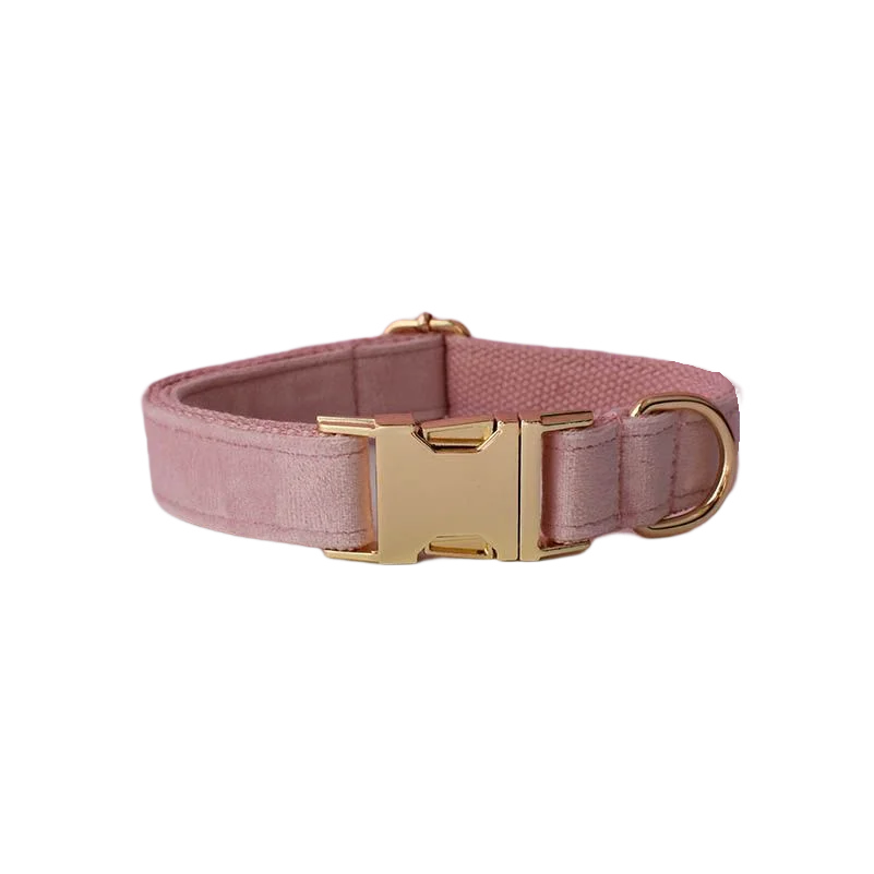 Dog Collar