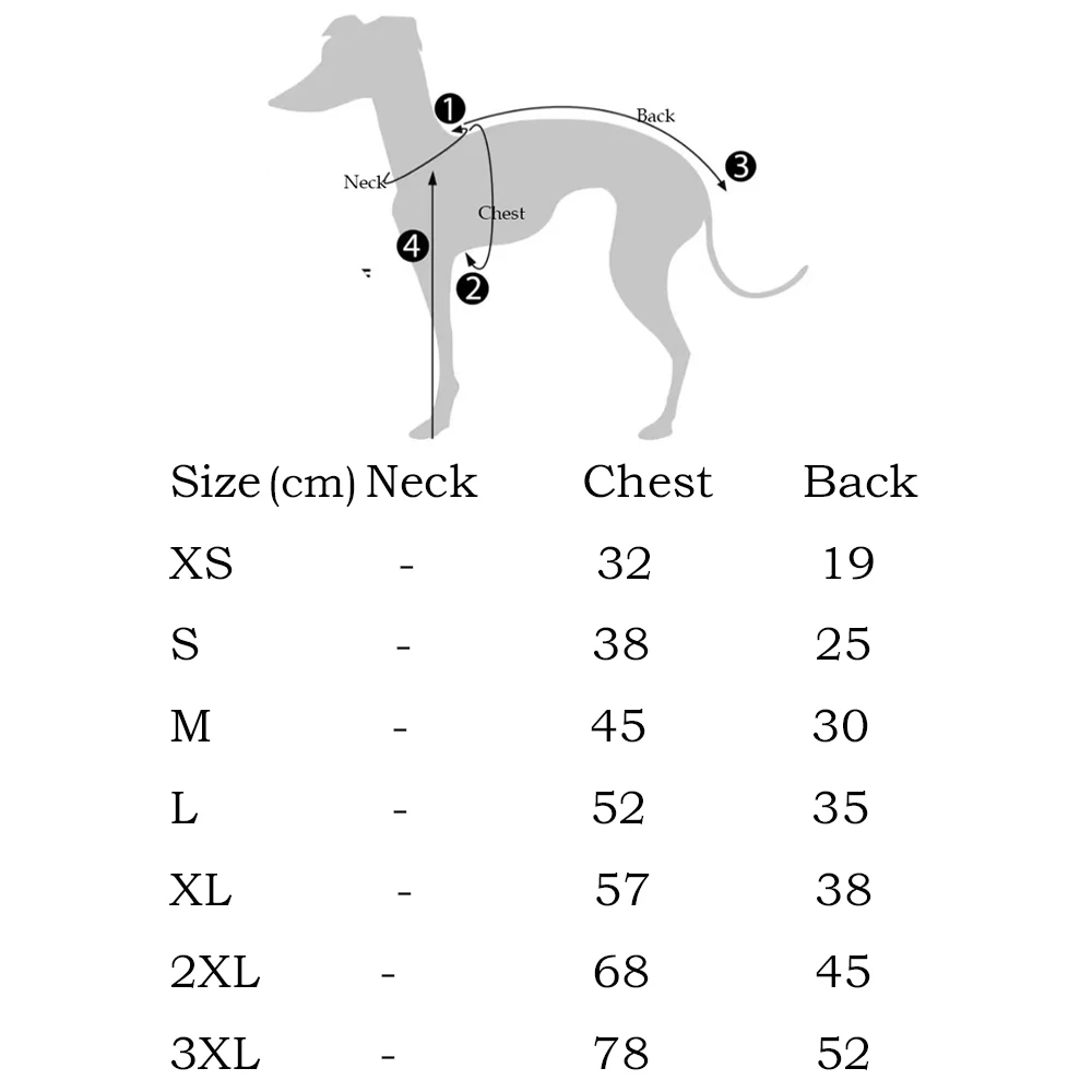 Camiseta de algodón con lazo para perros pequeños - Galgo italiano - imagen 3
