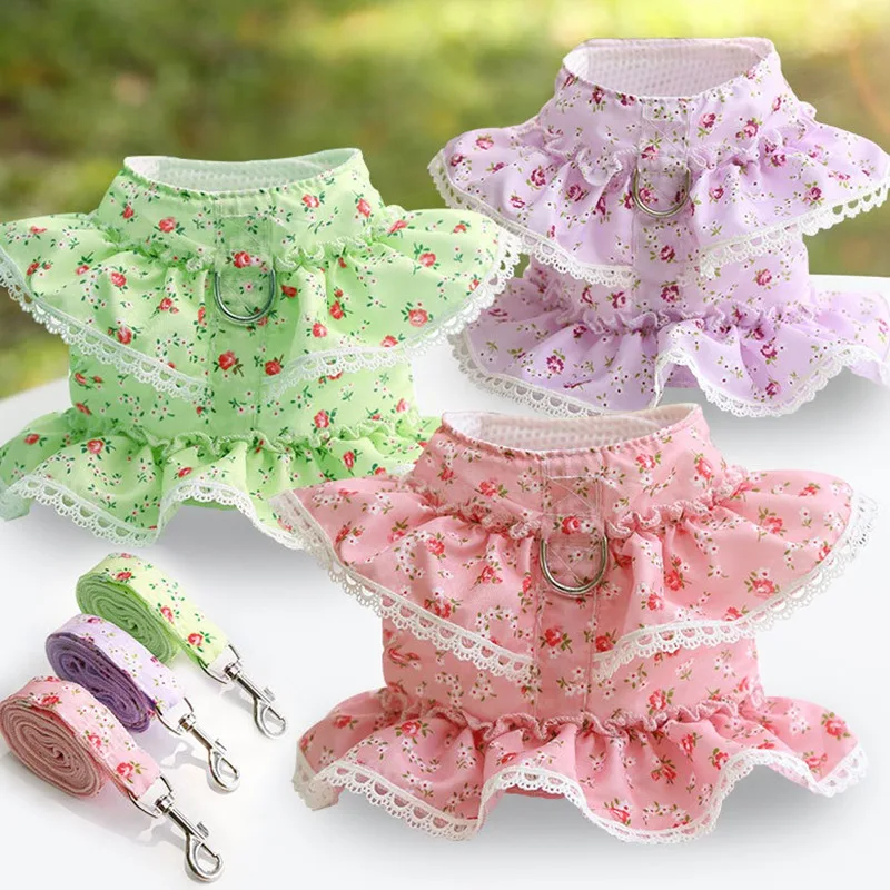 Perro peque�f1o posando con arnés y correa floral