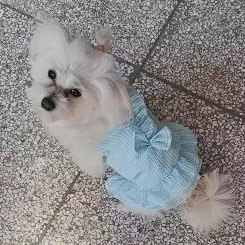 Vestido princesa - Vista superior