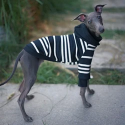 Sudadera capucha rayas para Whippet y Galgo Italiano – Algodón otoño invierno
