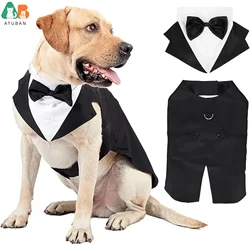 Disfraz esmoquin para perros grandes – Golden Retriever y Labrador