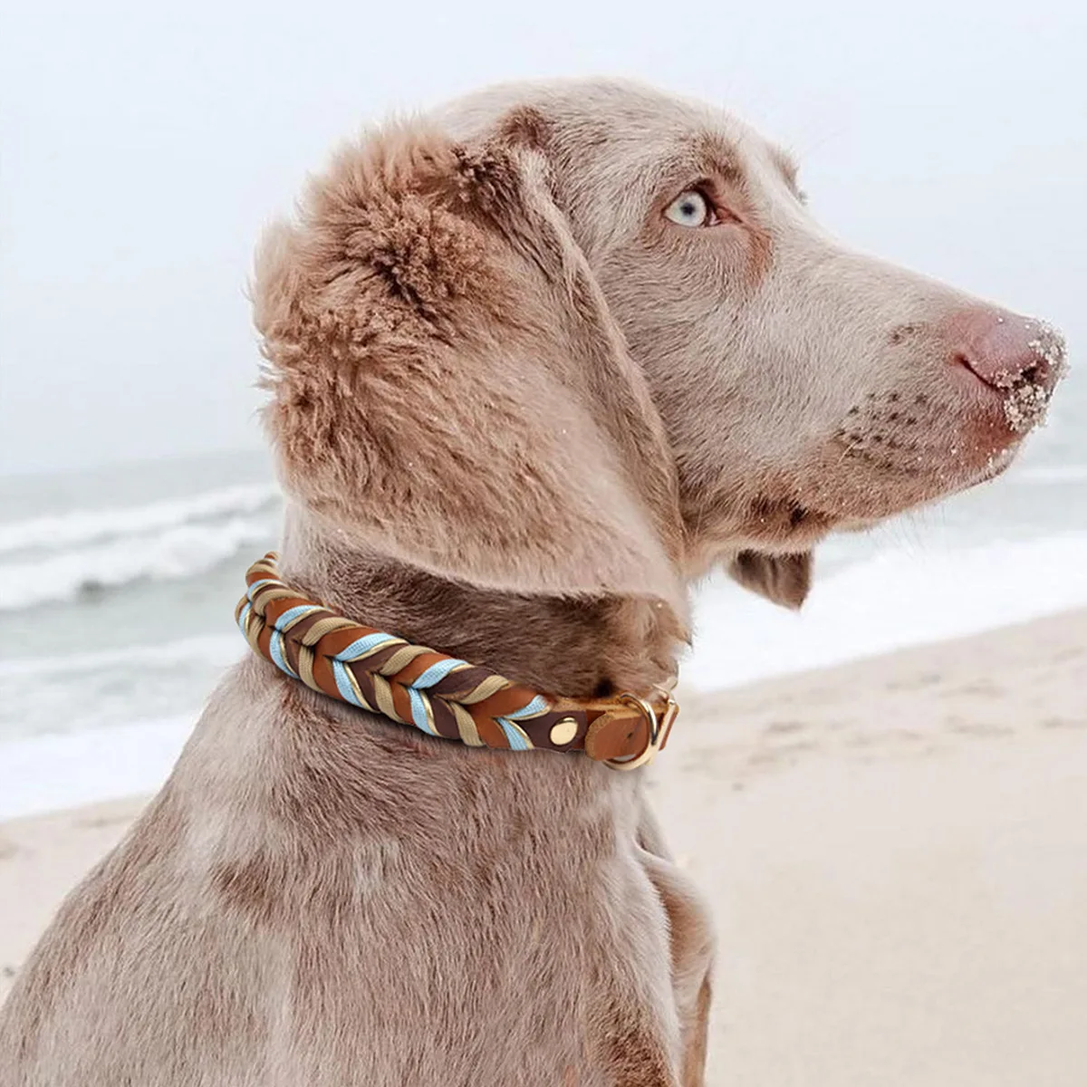 Collar de perro trenzado hecho a mano, correa de cuero genuino para mascotas, Collar de perro impermeable trenzado de lujo, correa de cuero para caminar y entrenar para perros - imagen 2