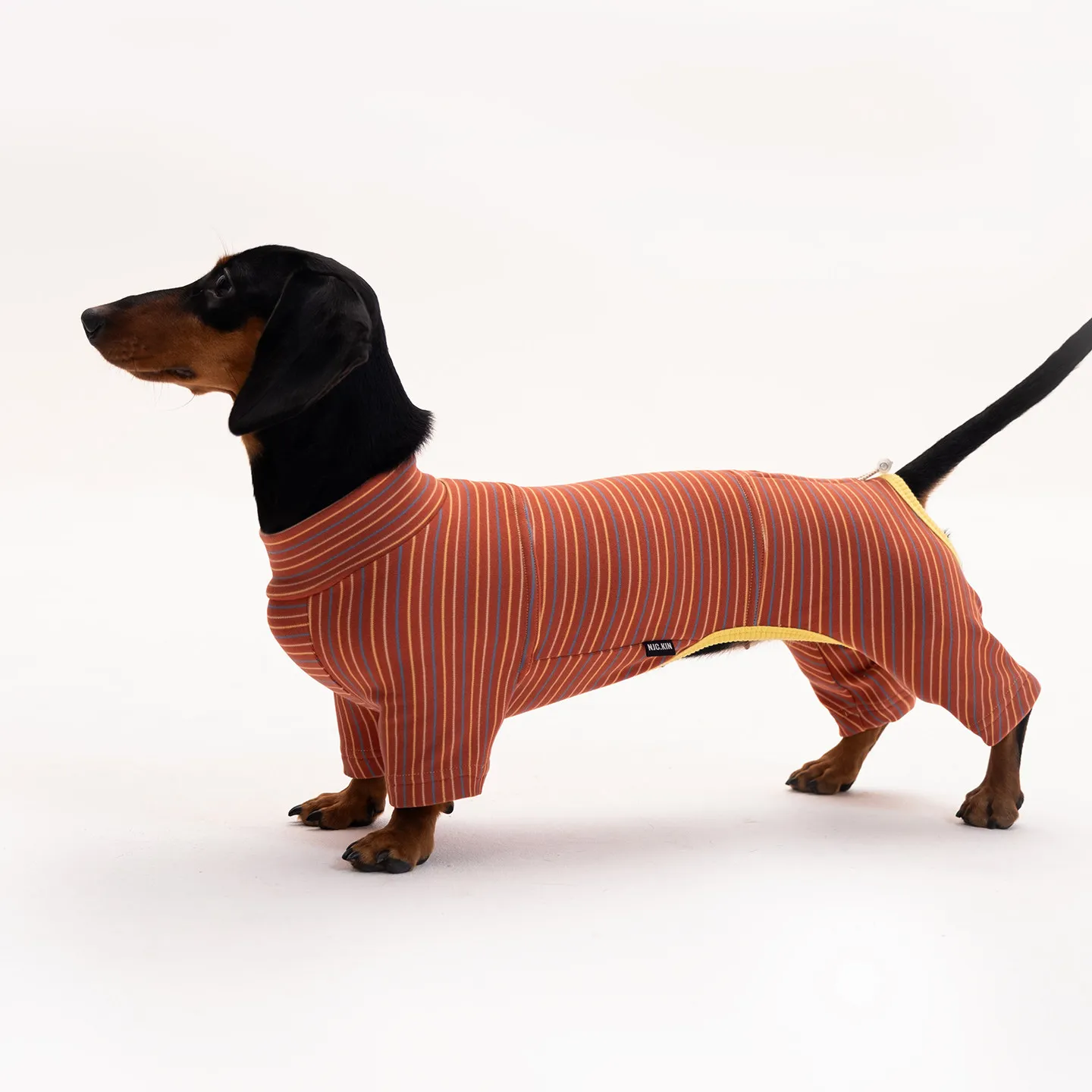 Jersey elástico para Dachshund – Abrigo a rayas rojas para perro salchicha - imagen 5