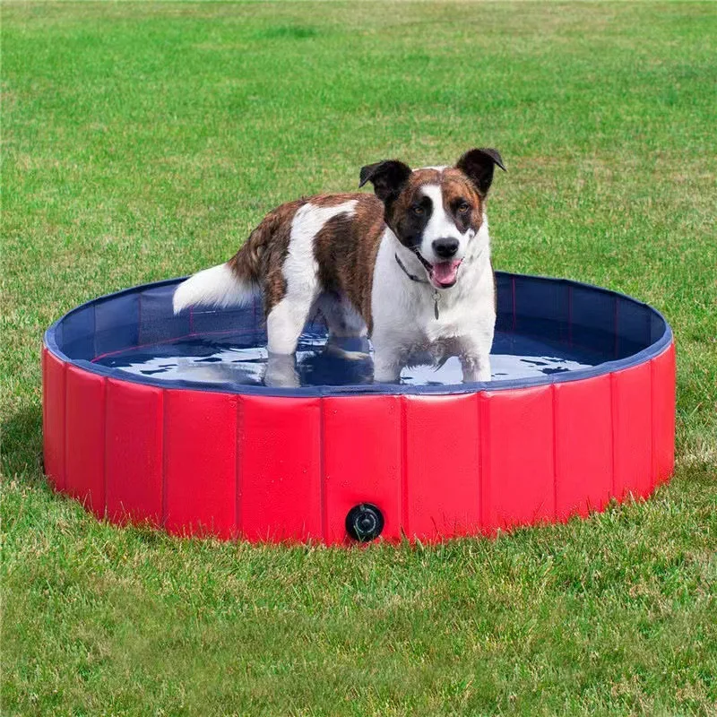 Piscina plegable para mascotas, piscina plegable para niños, bañera de aseo portátil para perros, gatos y niños, diversión y baño de verano al aire libre - imagen 5