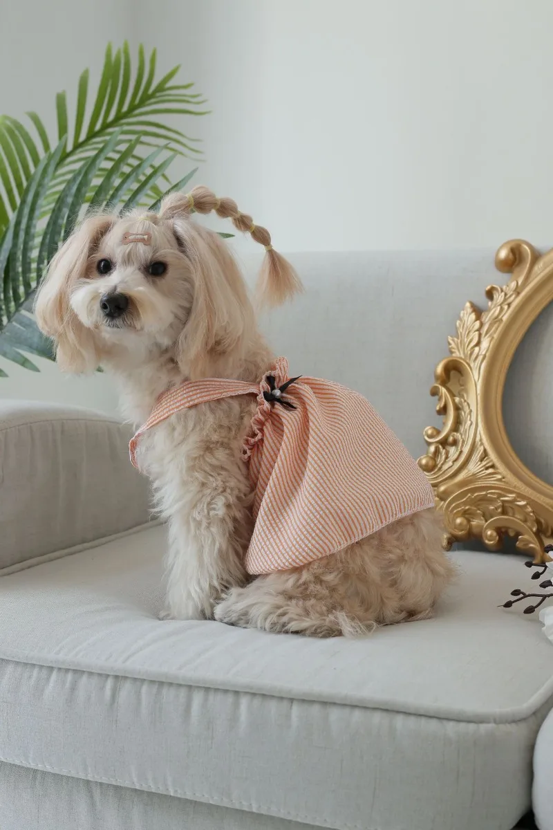 hmqViviiyNSAyin9WuaQt/gnEkOsbZ29h7HX