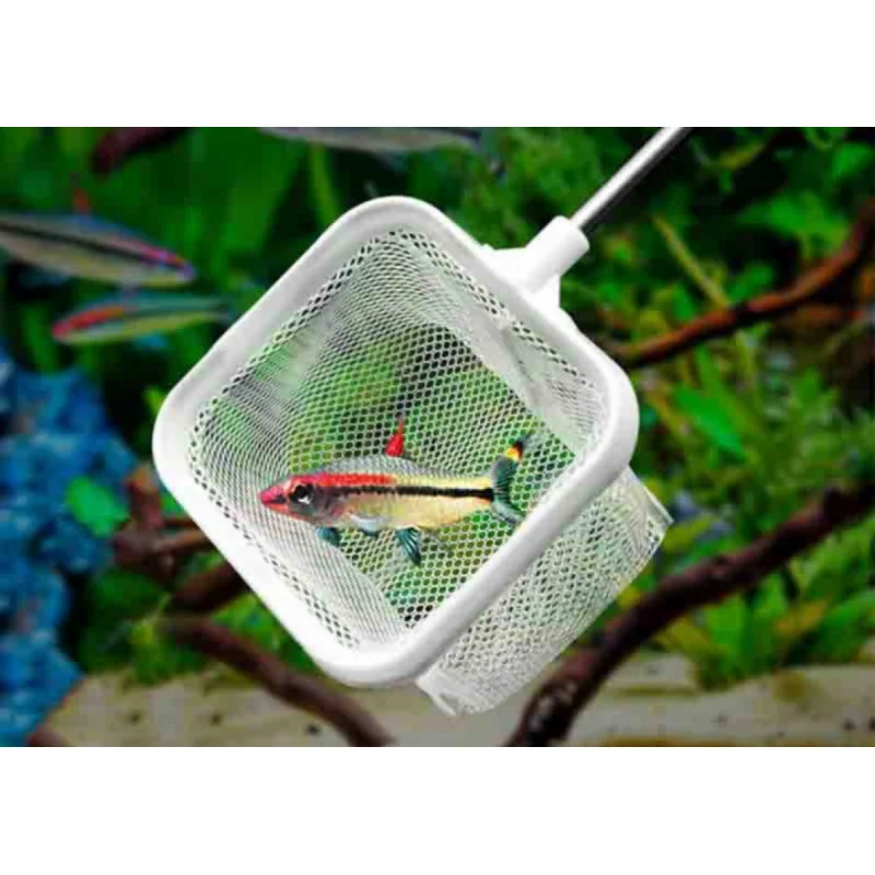 Square Fishing Net For Aquarium With Suction Cups, Retractable Fishing Equipment, With Long Handle, For Catching Fish And Shrimp - imagen 2