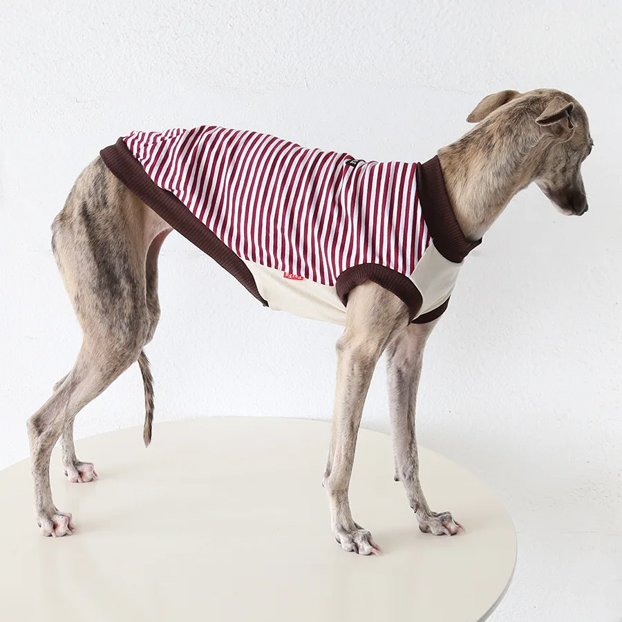 Chaleco reflectante ligero para Galgo Italiano – verano - imagen 2