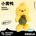 Yellow duckling