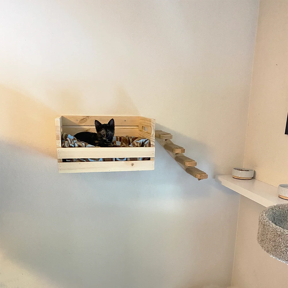 Cesta de madera para gatos montada en la pared, poste para rascar, muebles de pared modernos para gatos, soporte para gatos, cama con percha, hamaca para dormir