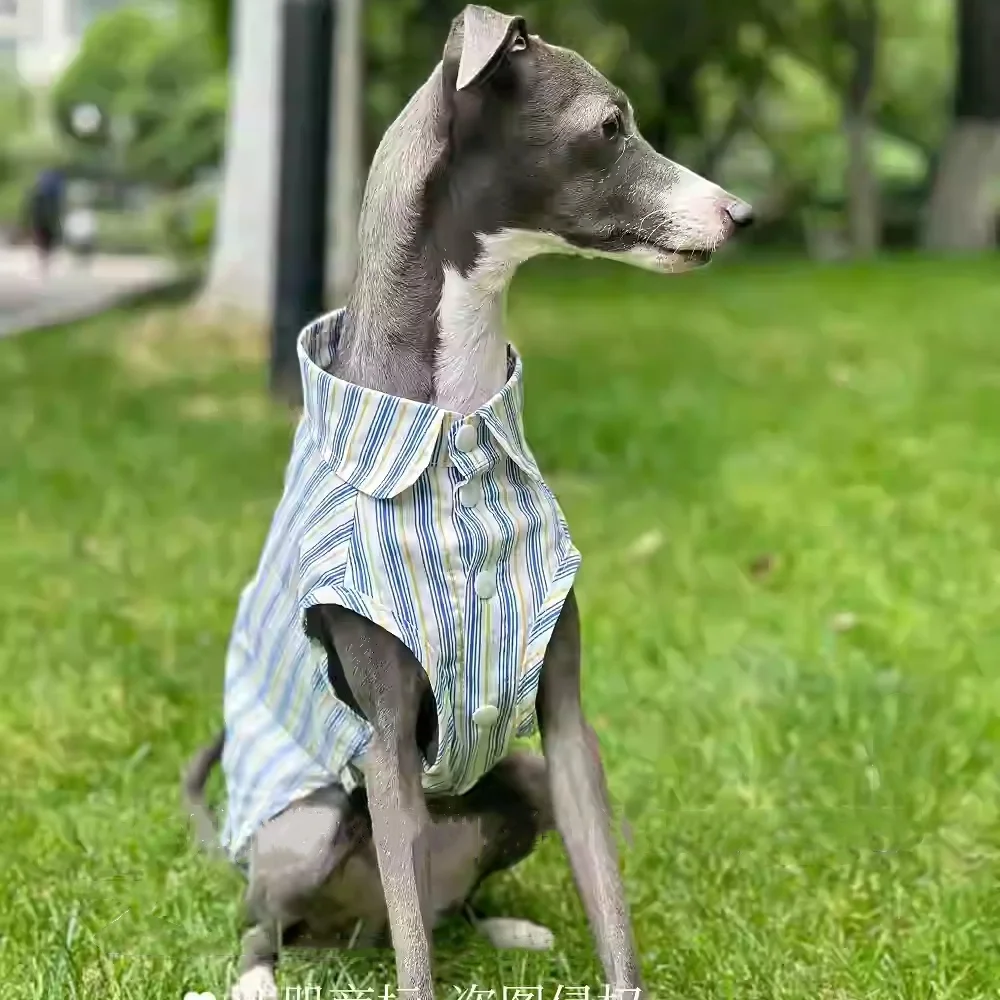 Galgo italiano Camisa sin mangas de algodón a rayas azules Tejido fresco y cómodo Verano Ropa de perro Whippet ultrafino - imagen 3