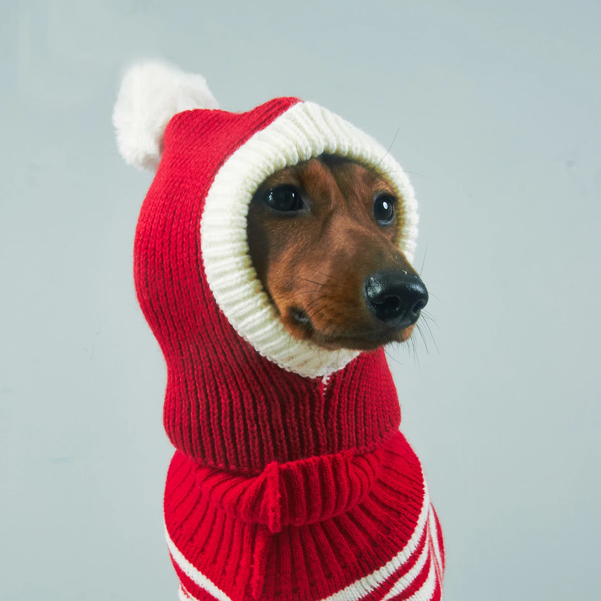 Gorro rojo verde de Navidad de Año Nuevo para perros Wiener, Jersey cálido de invierno, gorro de punto para perros salchicha, gorro de cuello alto para salchichas - imagen 3