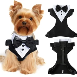 Chaleco esmoquin perro con pajarita – Ideal para bodas